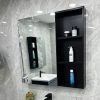 Tủ gương phòng tắm thường TCA-803